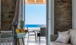 ΜΠΑΛΚΟΝΟΠΟΡΤΕΣ